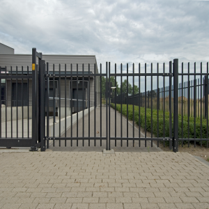 Poarta acces auto Europa