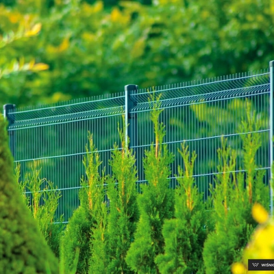 Panou bordurat Vega B -grosimea firului metalic de 5 mm